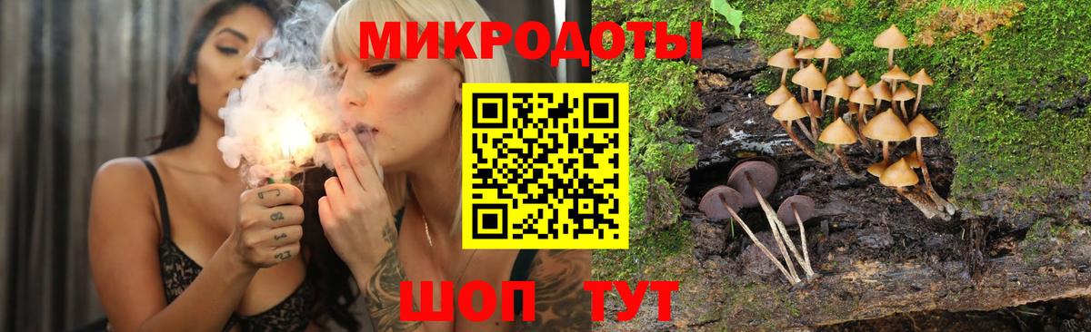 Галлюциногенные грибы GOLDEN TEACHER Сатка