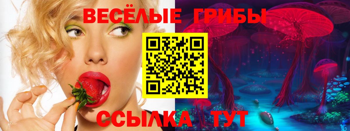 Сатка  Псилоцибиновые грибы ЛСД  Вход с VPN 